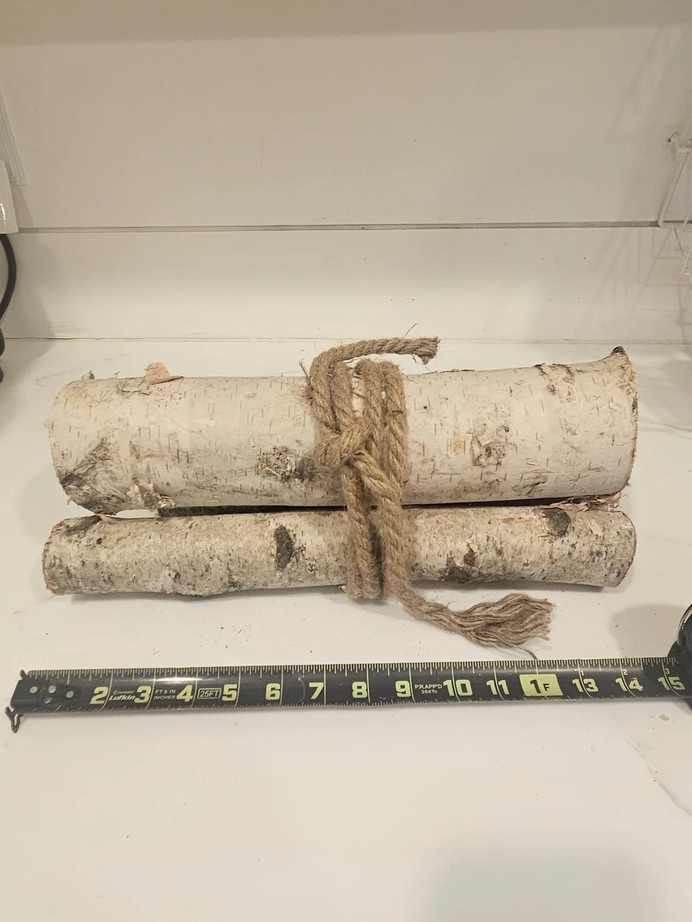 Bundle of White Birch Logs with Rope Accent